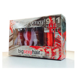 BIG SEXY HAIR. Holiday Mini 4 Pack (450ml)