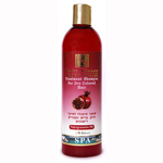 /329/ H&B  Treatment Shampoo For Dry Colored Hair Pomegranates Oil, 400ml